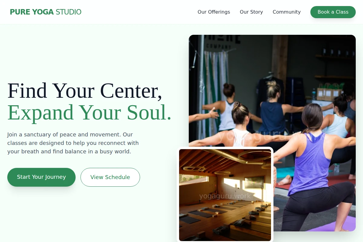 Pure Yoga Studio