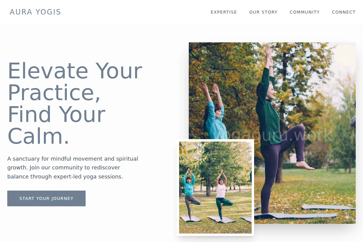 Aura Yogis
